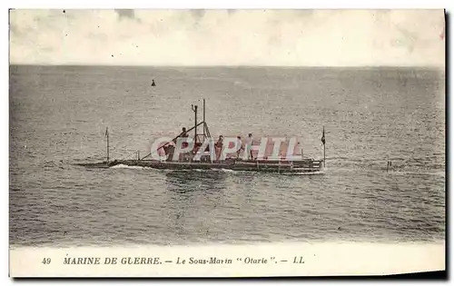 Cartes postales moderne Bateau Guerre Sous marin Otarie