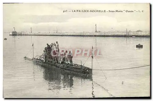 Cartes postales moderne Bateau Guerre Sous marin Otarie