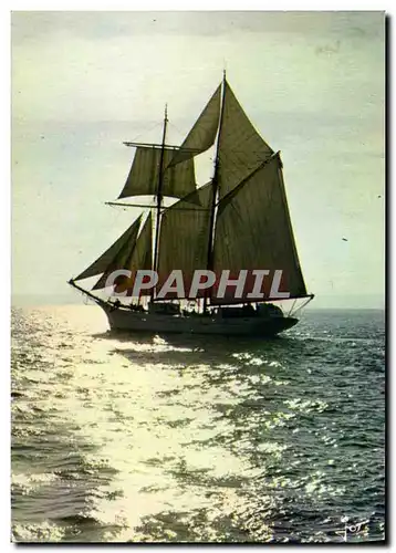 Cartes postales moderne Bateau Une barque aux voiles blanches