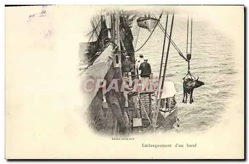 Cartes postales Bateau Embarquement d un boeuf