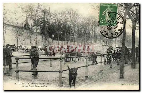 Cartes postales Caen Le Marche aux Bestiaux sur les Fosses Saint Julien TOP