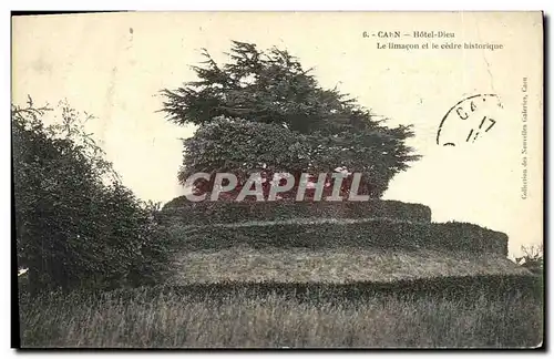 Cartes postales Caen L Hotel Dieu Le Limacon et le cedre historique