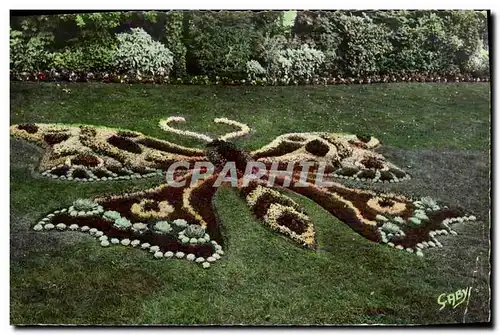 Cartes postales moderne Caen Le Jardin des Plantes Papillon