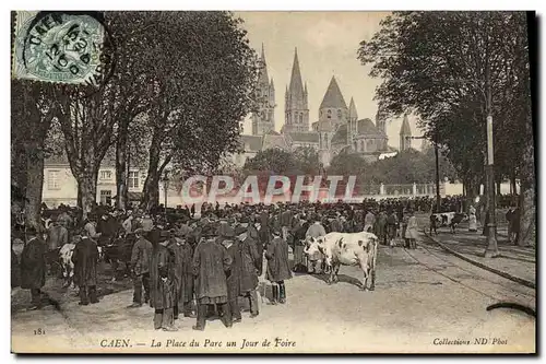 Cartes postales Caen La Place du Pare un Jour de Foire Vaches Marche TOP