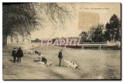 Cartes postales Caen La Passerelle sur L Orne Chien