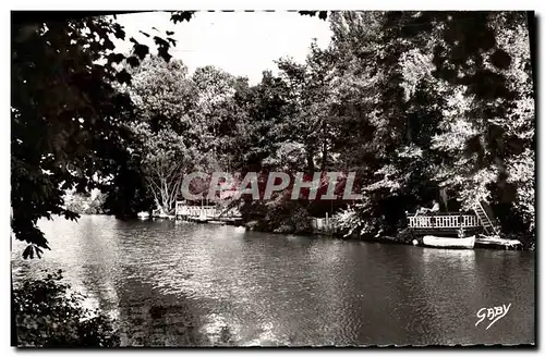 Cartes postales moderne Caen Les Rives de L Orne