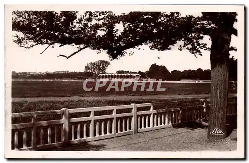 Cartes postales Caen Champ de Courses Hippisme Chevaux