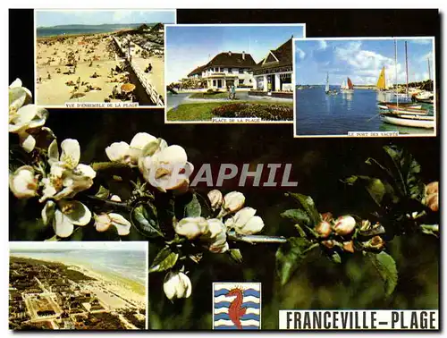 Cartes postales moderne Franceville Plage