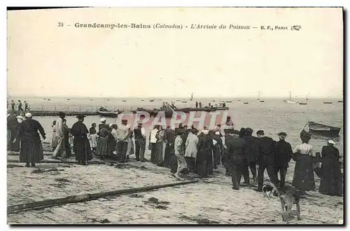 Cartes postales Grandcamp les Bains L Arrivee du Poisson TOP