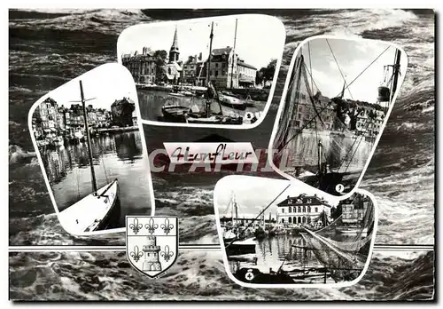 Cartes postales moderne Honfleur Le Vieux Bassin et le musee Le port et l hotel de ville