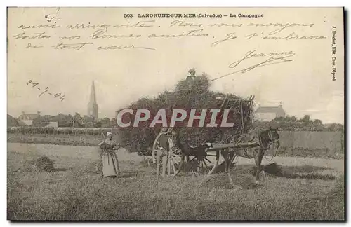 Ansichtskarte AK Langrune Sur Mer La Campagne Cheval TOP