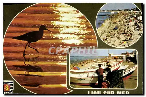 Cartes postales moderne Lion Sur Mer