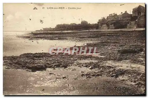 Cartes postales Lion Sur Mer Contre jour