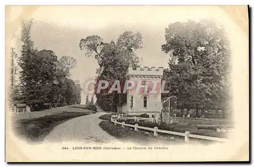 Cartes postales Lion Sur Mer Le Chemin du Chateau