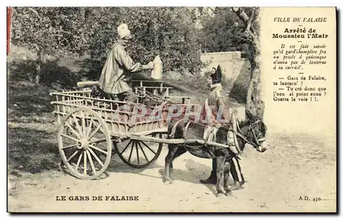 Cartes postales Le Gars de Falaise Charette a Ane Folklore Costume