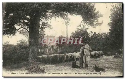 Cartes postales Environs de Falaise Le Vieux Berger du Mont Joly Moutons Chien