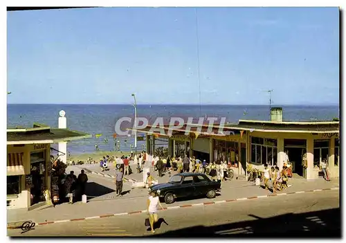 Cartes postales moderneA Luc Sur Mer La descente a la plage