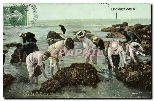 Cartes postales Luc Sur Mer La peche aux moules