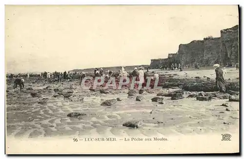 Cartes postales Luc Sur Mer La Peche Aux Moules