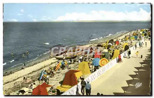 Cartes postales moderne Luc Sur Mer La plage a l heure du bain