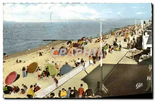 Cartes postales moderne Luc Sur Mer et la Promenade a Maree Haute