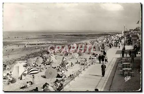 Cartes postales moderne Luc Sur Me La Plage