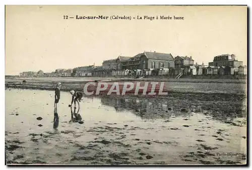 Cartes postales Luc Sur Mer La Plage a Maree Basse