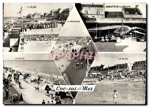 Cartes postales moderne Luc Sur Mer Baleine plage