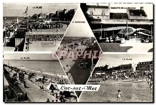 Cartes postales moderne Luc Sur Mer Souvenir Baleine