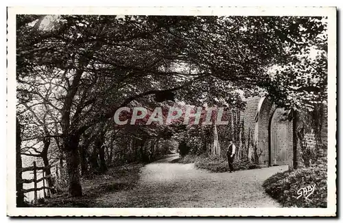 Cartes postales moderne Villers sur Mer Chemin du Manoir d Auberville