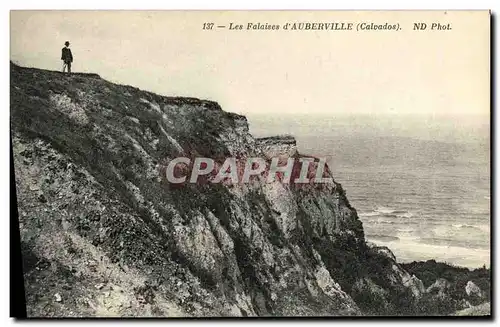 Cartes postales Les Falaises d Auberville