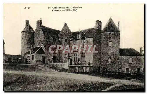 Cartes postales Chateaux Du Calvados Chateau De Bernesq