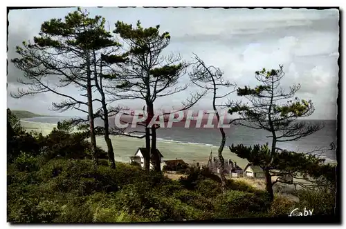 Cartes postales moderne Blonville sur Mer La Cote a travers les Pins