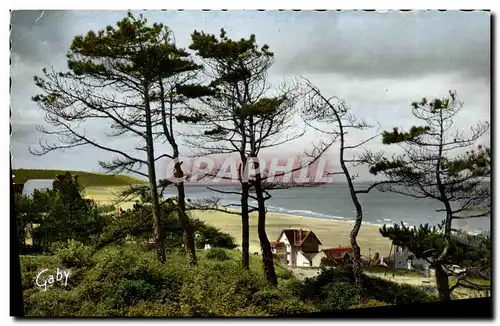 Cartes postales moderne Blonville sur Mer La Cote a travers les Sapins