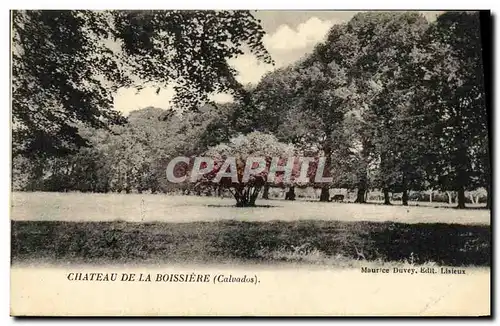 Cartes postales Chateau de la Boissiere