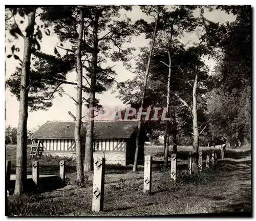 Cartes postales moderne Cesny Bois Halbout Un joli coin du Parc