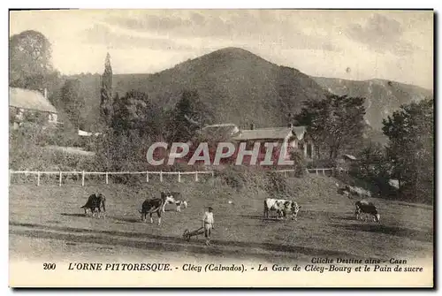 Ansichtskarte AK L Orne Pittoresque Clecy La Gare de Clecy Bourg et le Pain de sucre Vaches