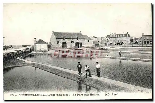 Cartes postales Courseulles Sur Mer Le Parc aux Huttres