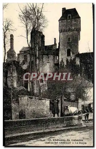 Cartes postales Chateau du Calvados Chateau fort Creully Le Donjon Personnage chargeant de l eau au puits Cheval