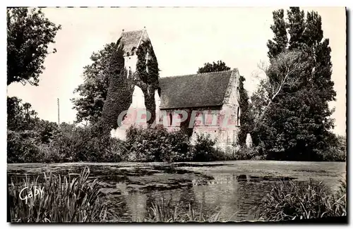 Cartes postales moderne Cricqueboeuf L Eglise aux Lierres