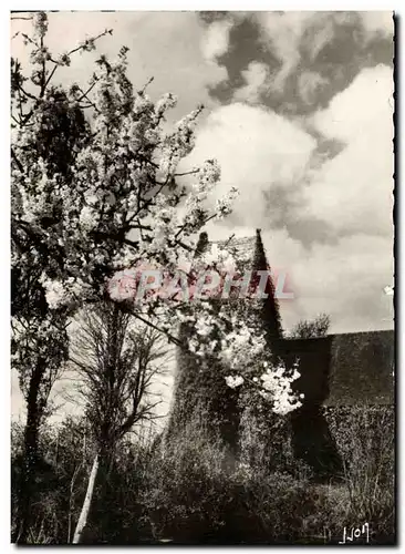 Cartes postales moderne En Normande La Vieille Eglise de Cricqueboeuf au printemps