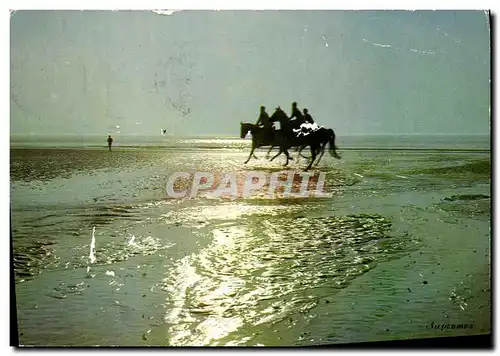 Cartes postales moderne Deauville Cavaliers Effet de contre jour