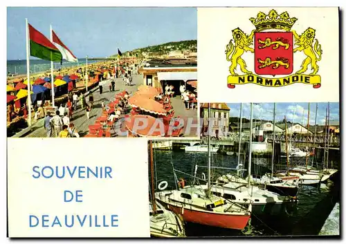 Moderne Karte Souvenir de Deauville Les planches Bassin des yachts Lions