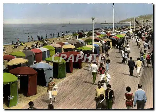 Cartes postales moderne Deauville Plage Fleurie La Plage et la Promenade