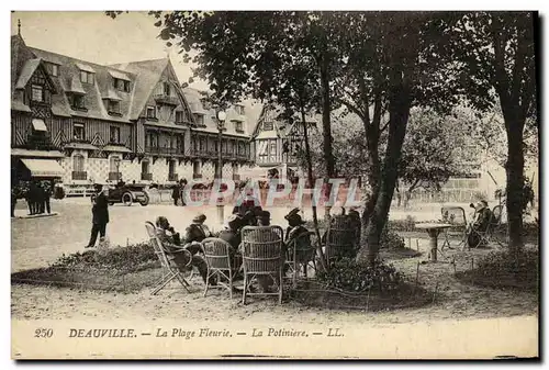 Cartes postales Deauville La Plage Fleurie La Potiniere