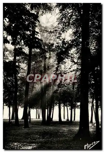 Cartes postales moderne Nos Jolis Sous Bois Le Bois de Boulogne Aurore brumeuse