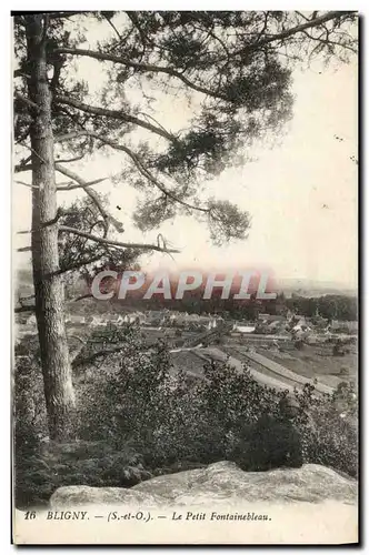 Ansichtskarte AK Bligny le Petite Fontainebleau