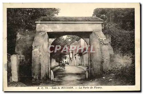 Ansichtskarte AK Bois de Meudon La Porte de Fleury