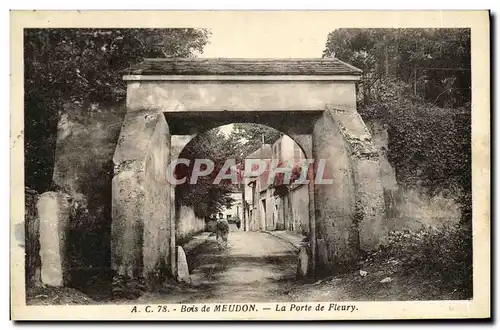 Cartes postales Bois de Meudon La Porte de Fleury