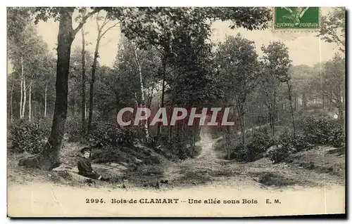 Cartes postales Bois de Clamart Une allee sous Bois Enfant